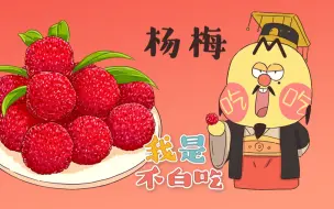 Download Video: 【我是不白吃】33 杨梅为什么姓杨？