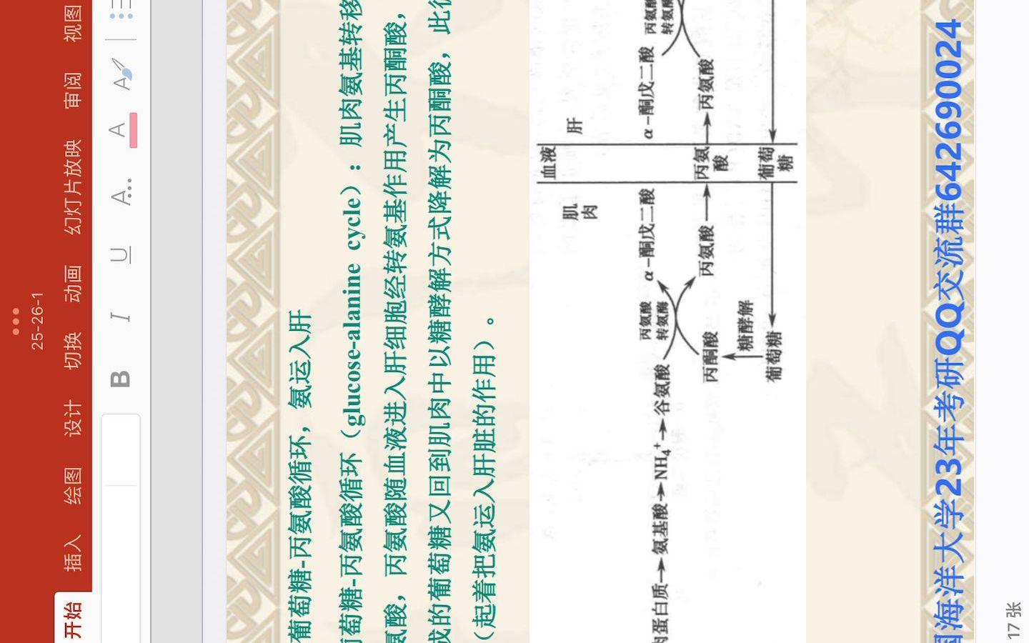 2023中国海洋大学生物化学课程课本第2526章哔哩哔哩bilibili