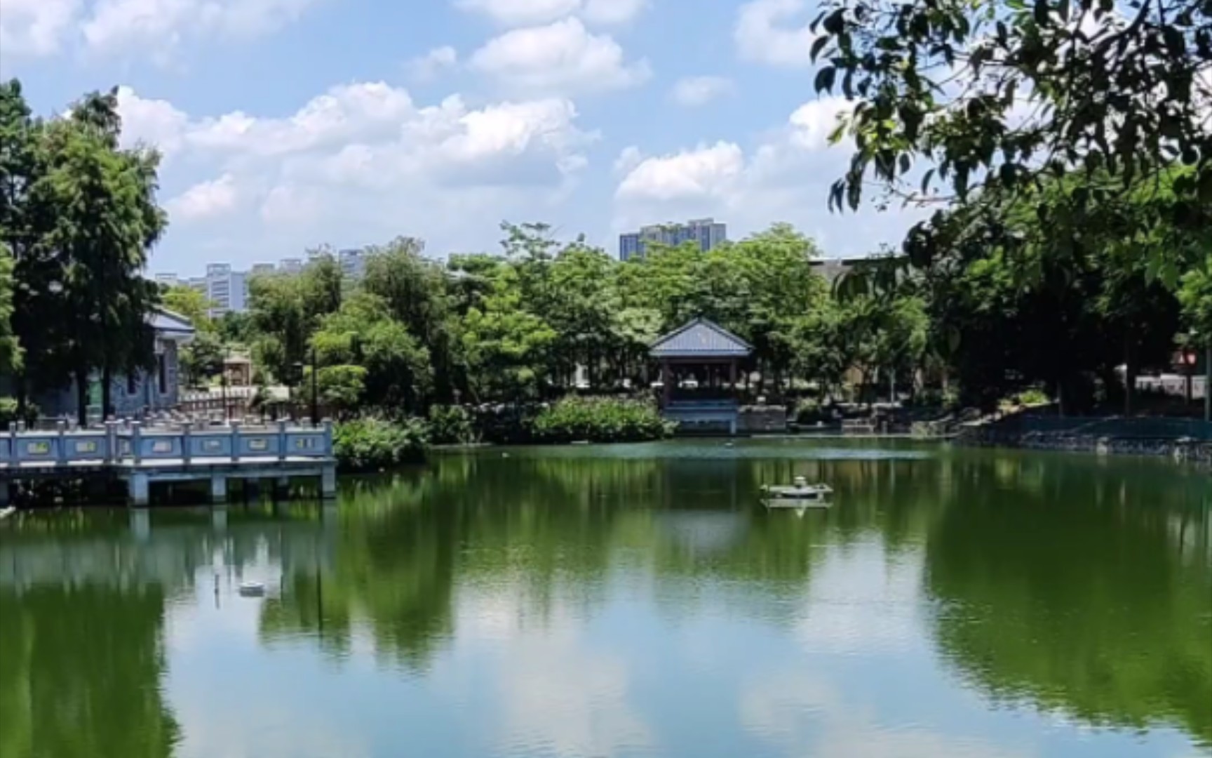 帶老婆到鄧演達紀念園吃戶外午餐