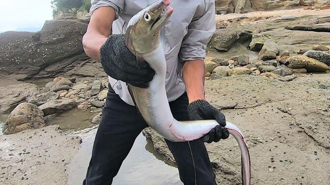 小囿赶海耍狠劲,抗来抽水机大战2巨坑,逮住一条好货就爆桶