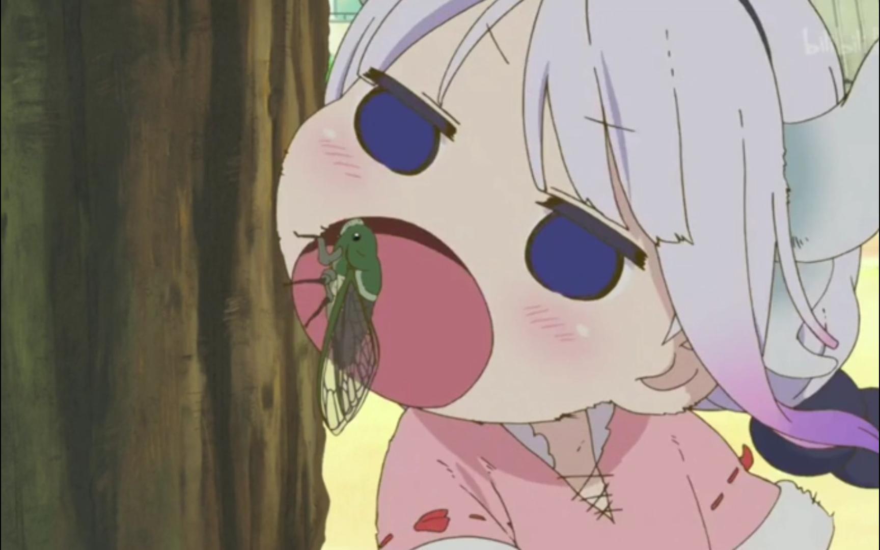 限一杯-龙女仆-开炸