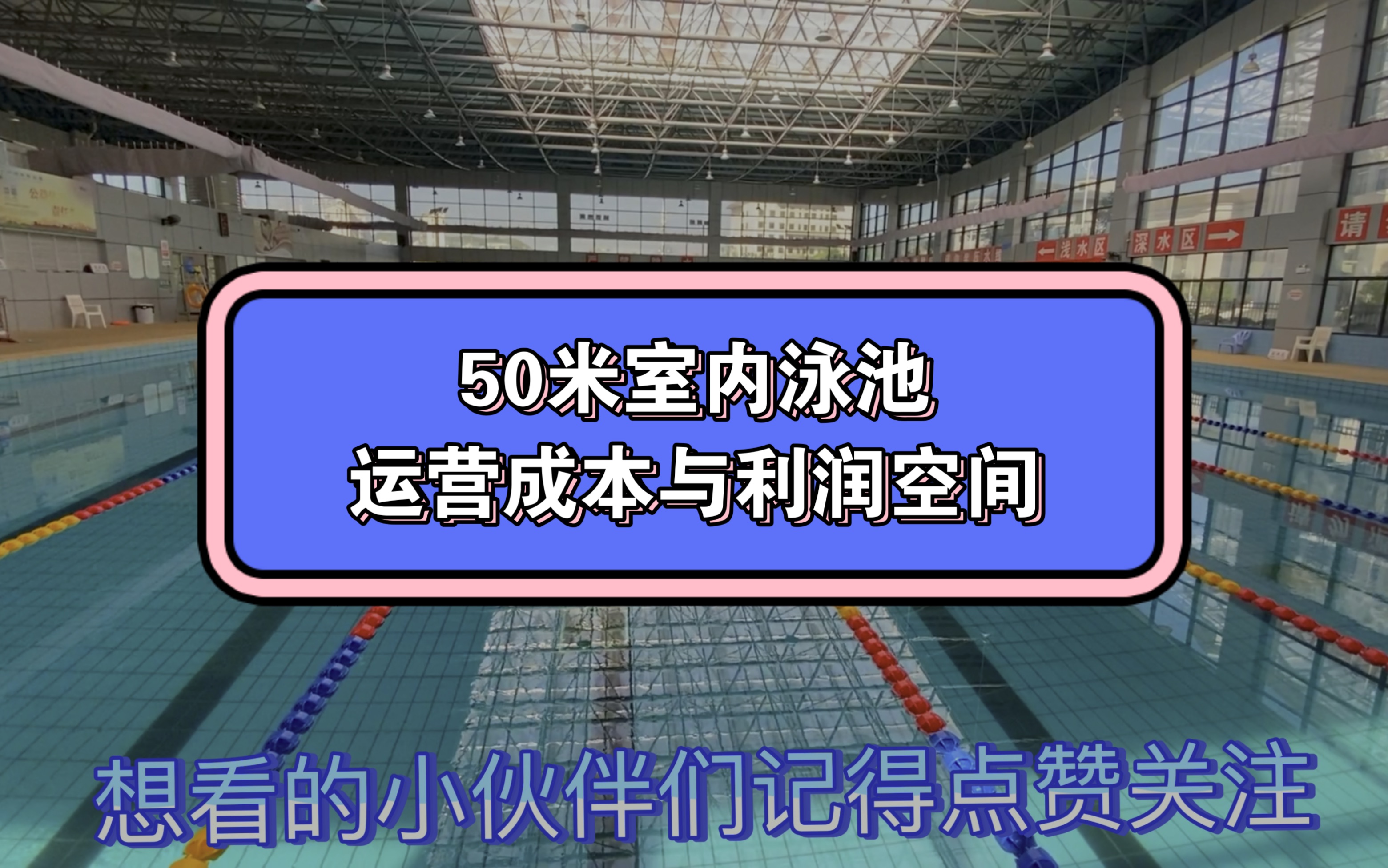 50米泳池成本与利润哔哩哔哩bilibili