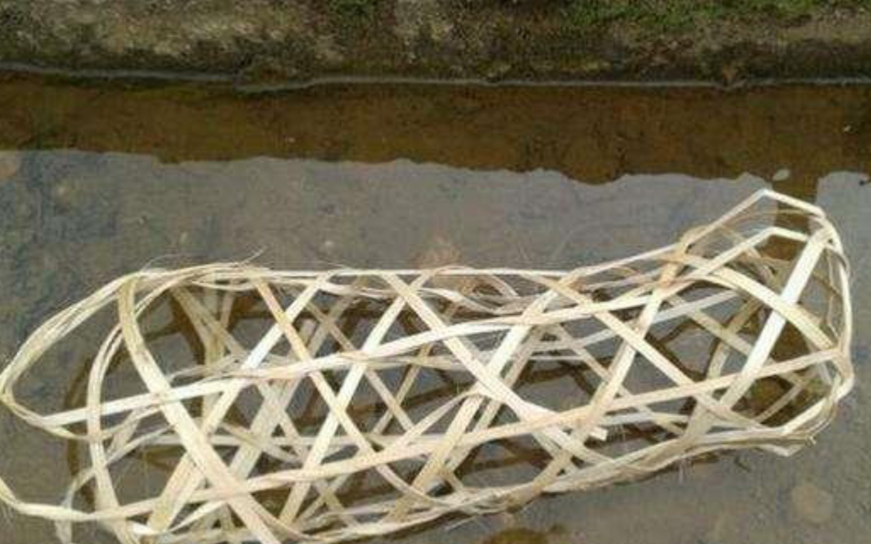 广东男子被当地村民浸猪笼年轻人耗子为汁吧