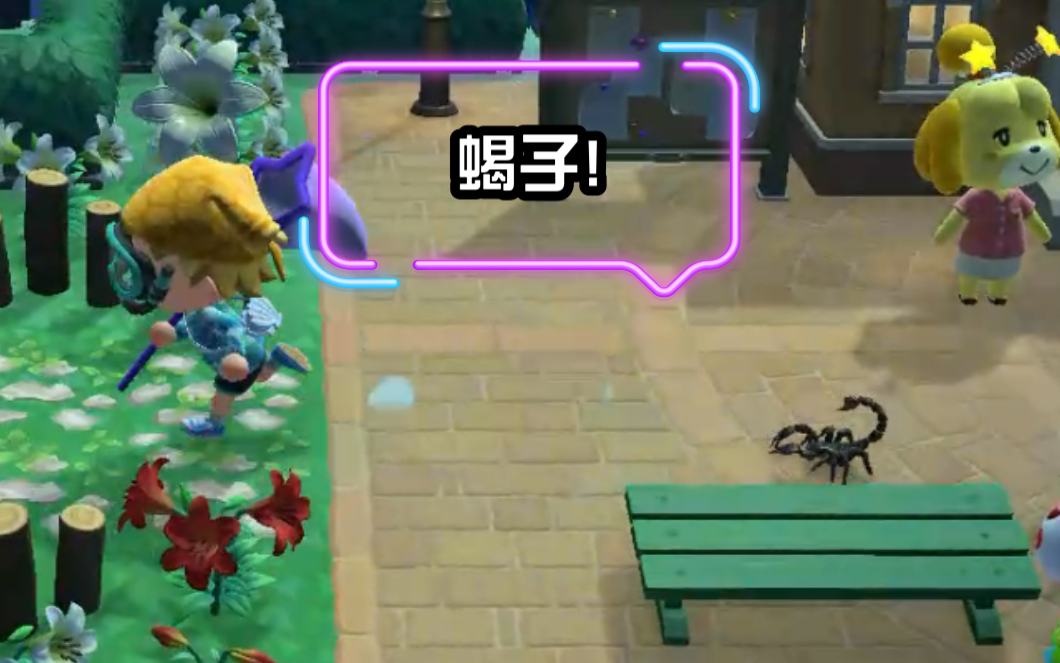 动森蝎子走位抓住了