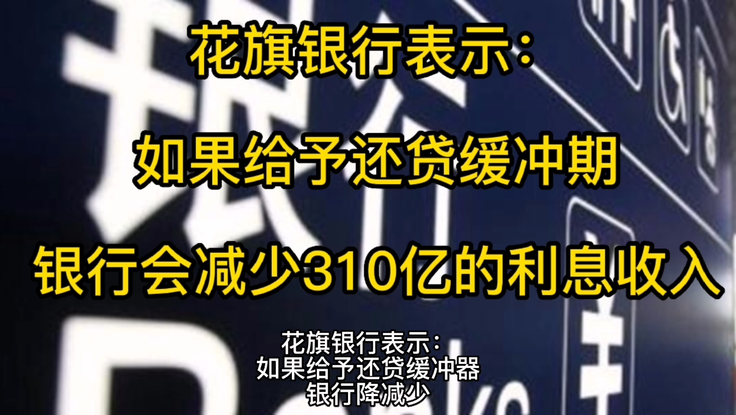 花旗银行表示,如果给予还贷缓冲期,中国的银行会减少310亿元的利息收入.哔哩哔哩bilibili