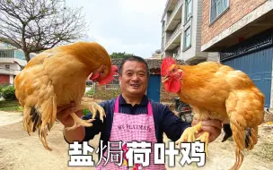 Video herunterladen: 阿胖山自家纯粮食喂的大公鸡，裹50斤粗盐做盐焗鸡，实在太香了