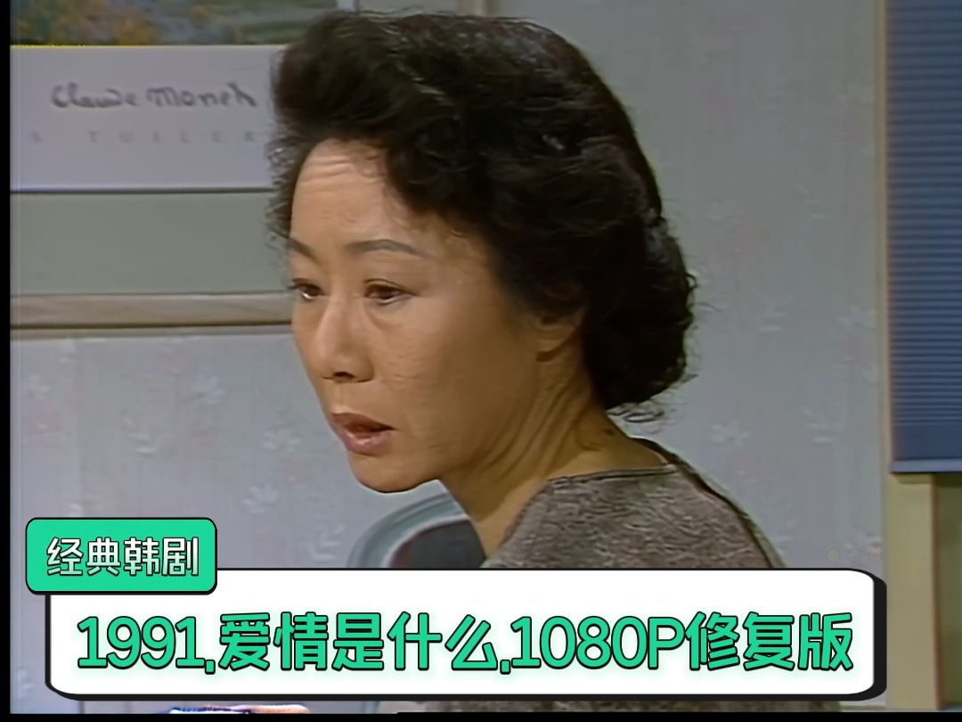 1991.经典韩剧.爱情是什么.高清韩语1080.修复版.55集全【100G】哔哩哔哩bilibili