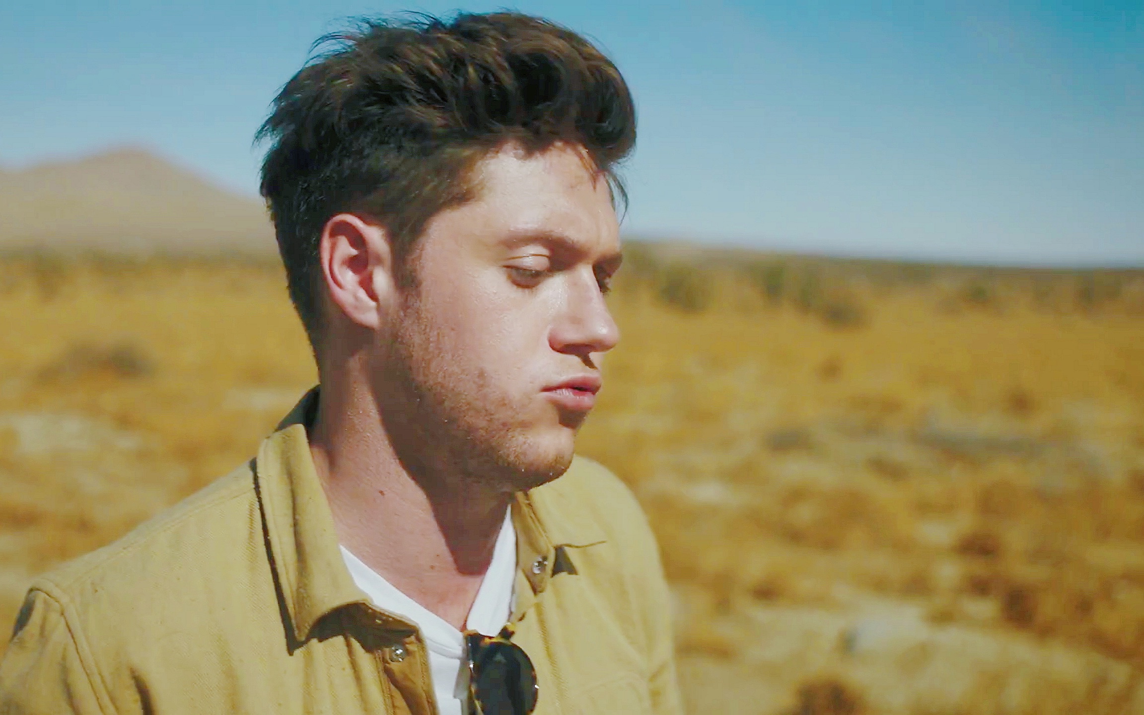 [图]『Niall Horan』奶儿首专Flicker 四单 On The Loose 现场合集