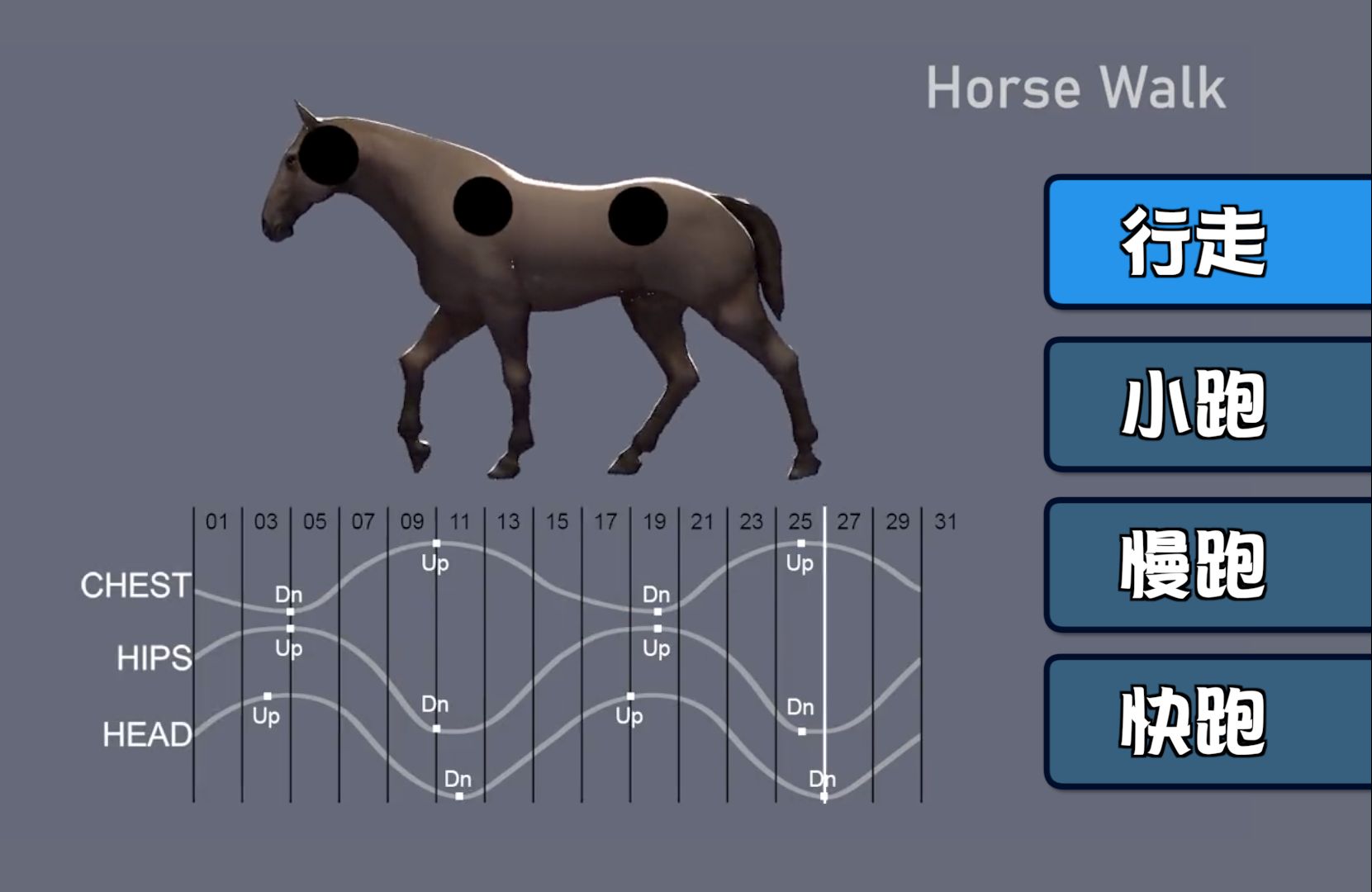【动画参考】四足动物 马、豹子|行走、小跑、慢跑、快跑|姿势比对哔哩哔哩bilibili