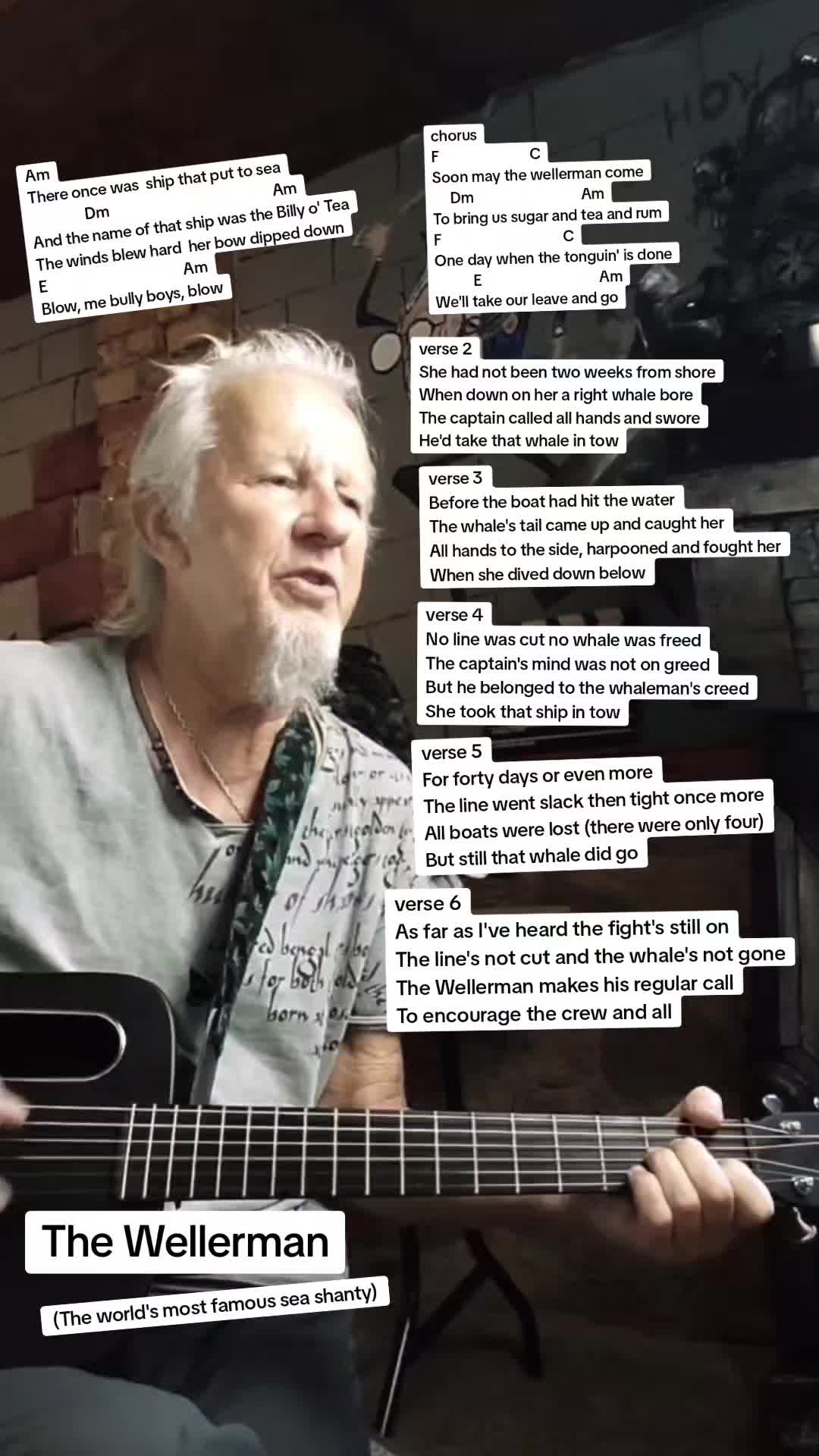 wellerman容易的原声吉他.