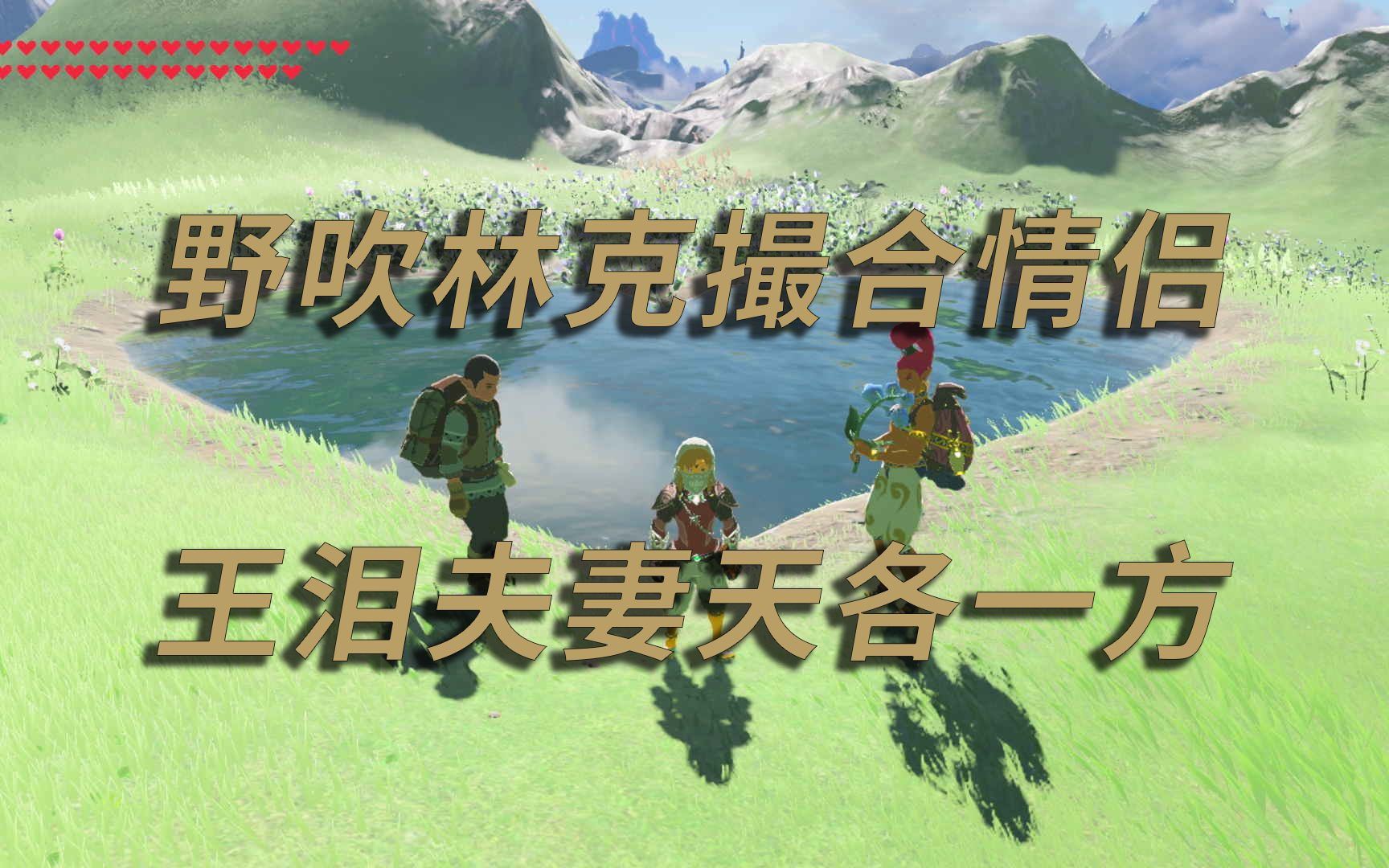 【王国之泪】旷野之息里林克撮合的小情侣到了王国之泪却分钗破镜哔哩哔哩bilibili