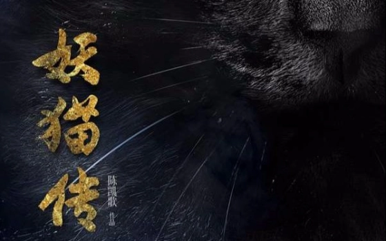 光合映画的个人空间 哔哩哔哩 Bilibili