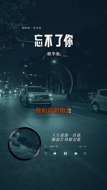 忘不了你的好 B站