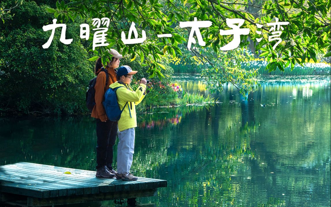 【4K】30分登顶九曜山看西湖全景|太子湾公园郁金香哔哩哔哩bilibili