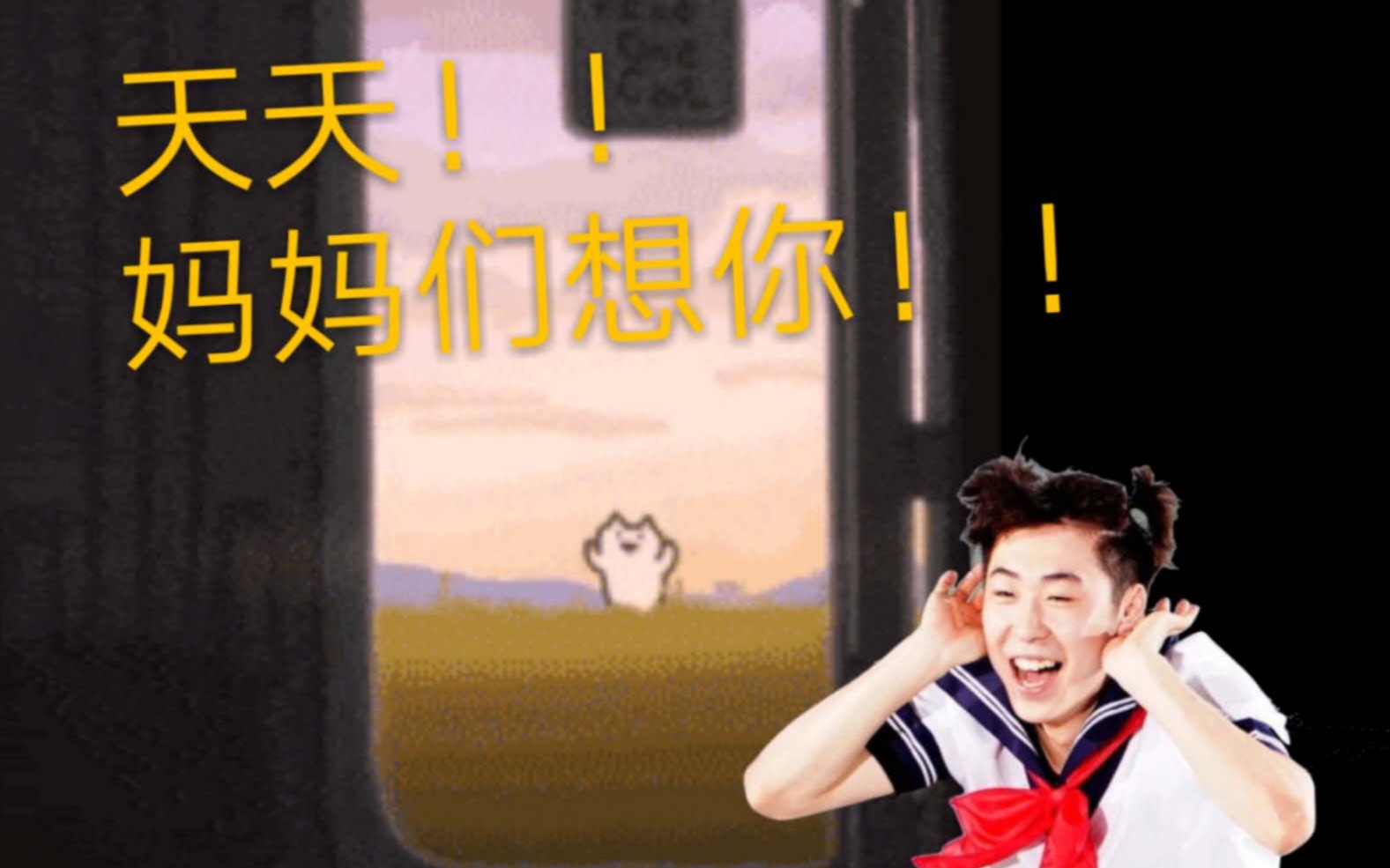 金博洋追火车的猫天天你再不出来老母亲们就要fong了