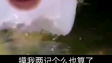 水 母 迷 因(无锡话)哔哩哔哩bilibili