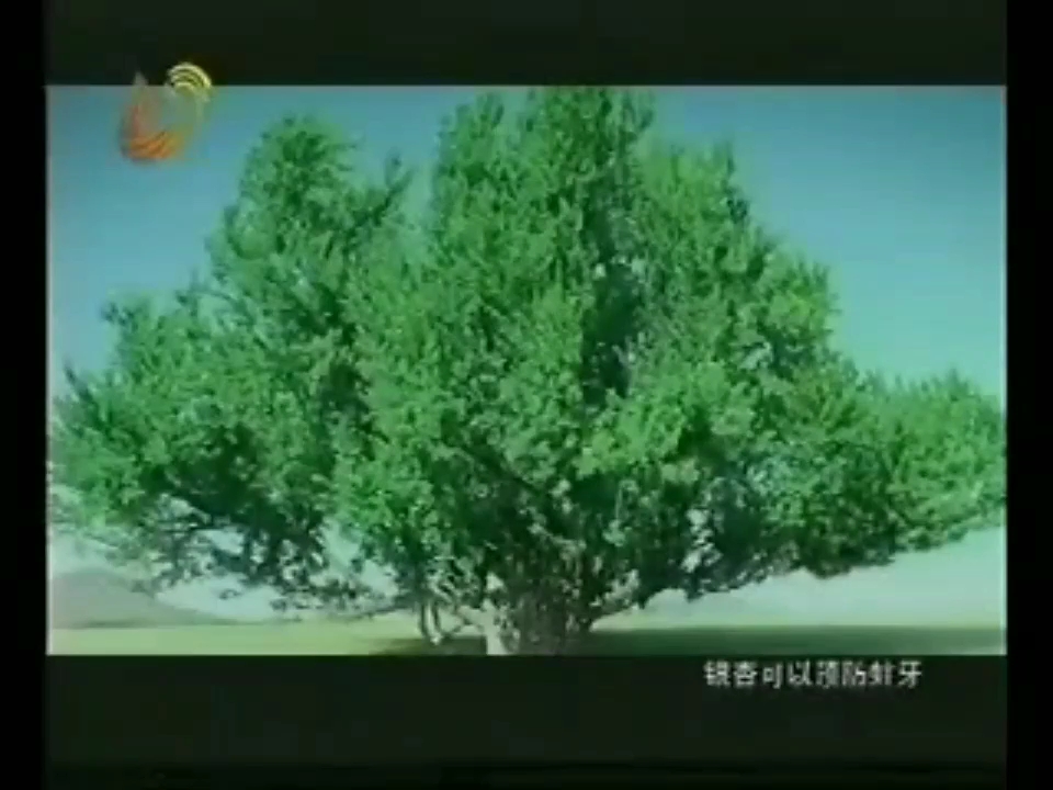 田七本草银杏牙膏广告(2005.8)哔哩哔哩bilibili