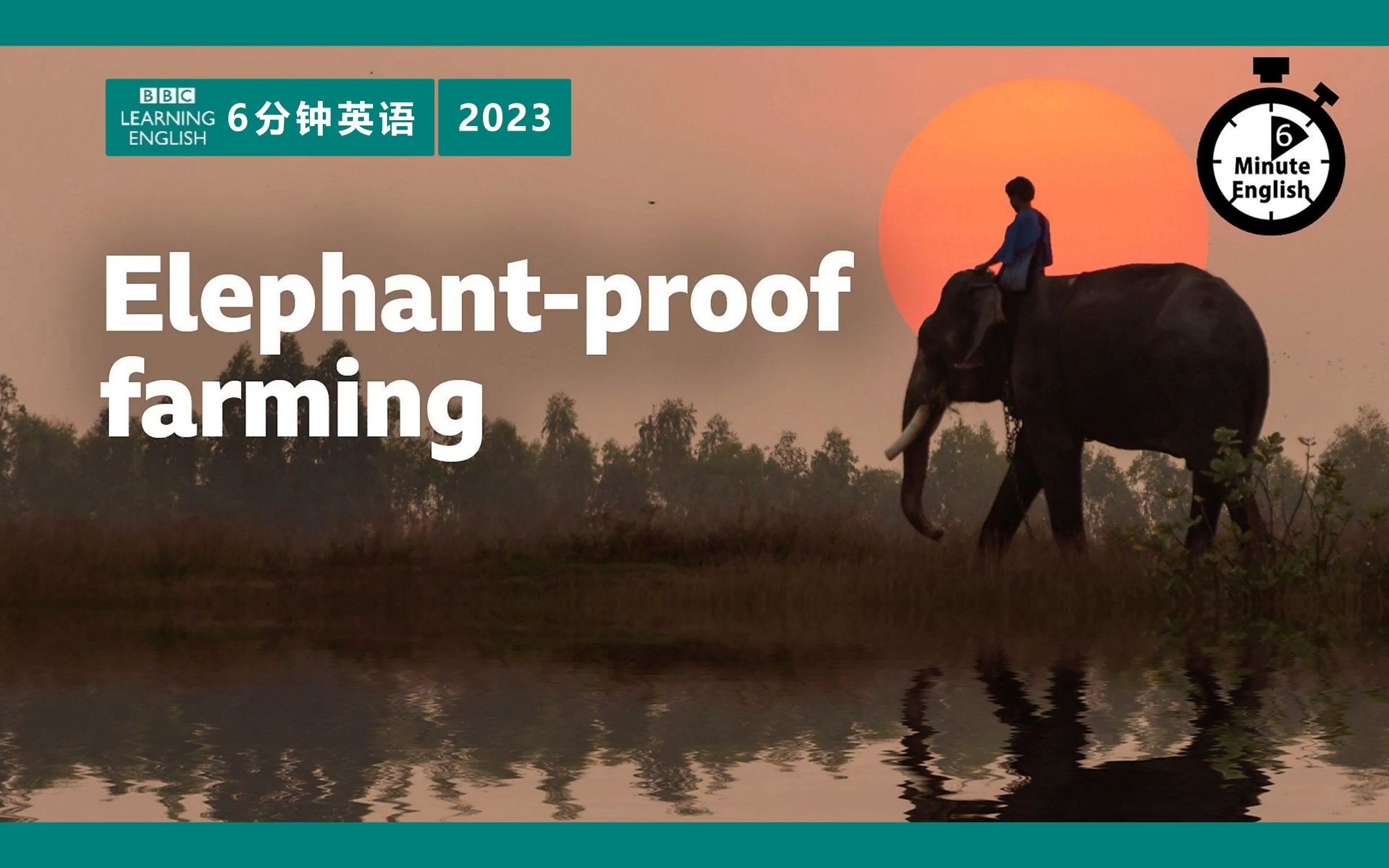 bbc | 6分钟英语 | 2023 | elephant-proof farming