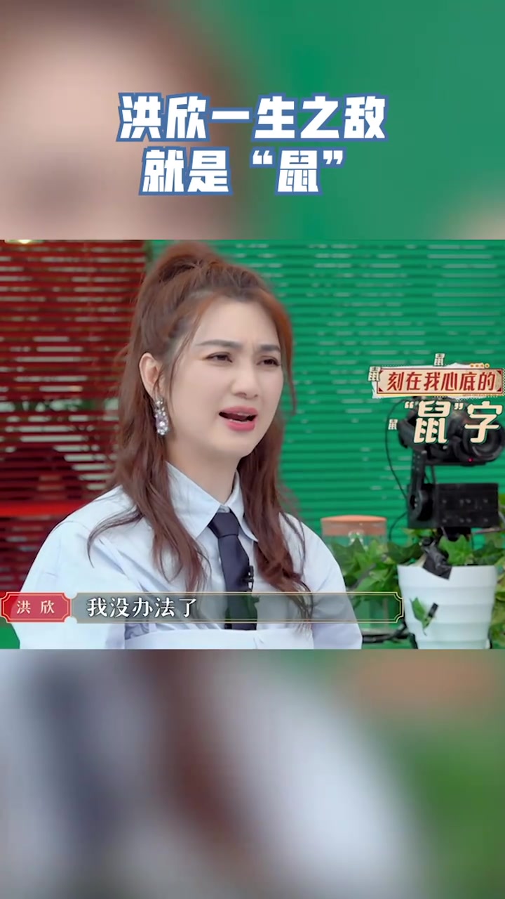 请吃饭的姐姐 本来觉得很可爱,一听说是豚鼠,洪欣整个头皮发麻