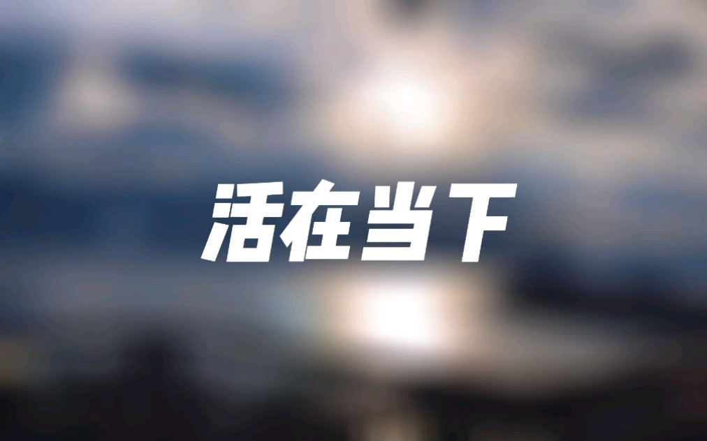 活在当下哔哩哔哩bilibili