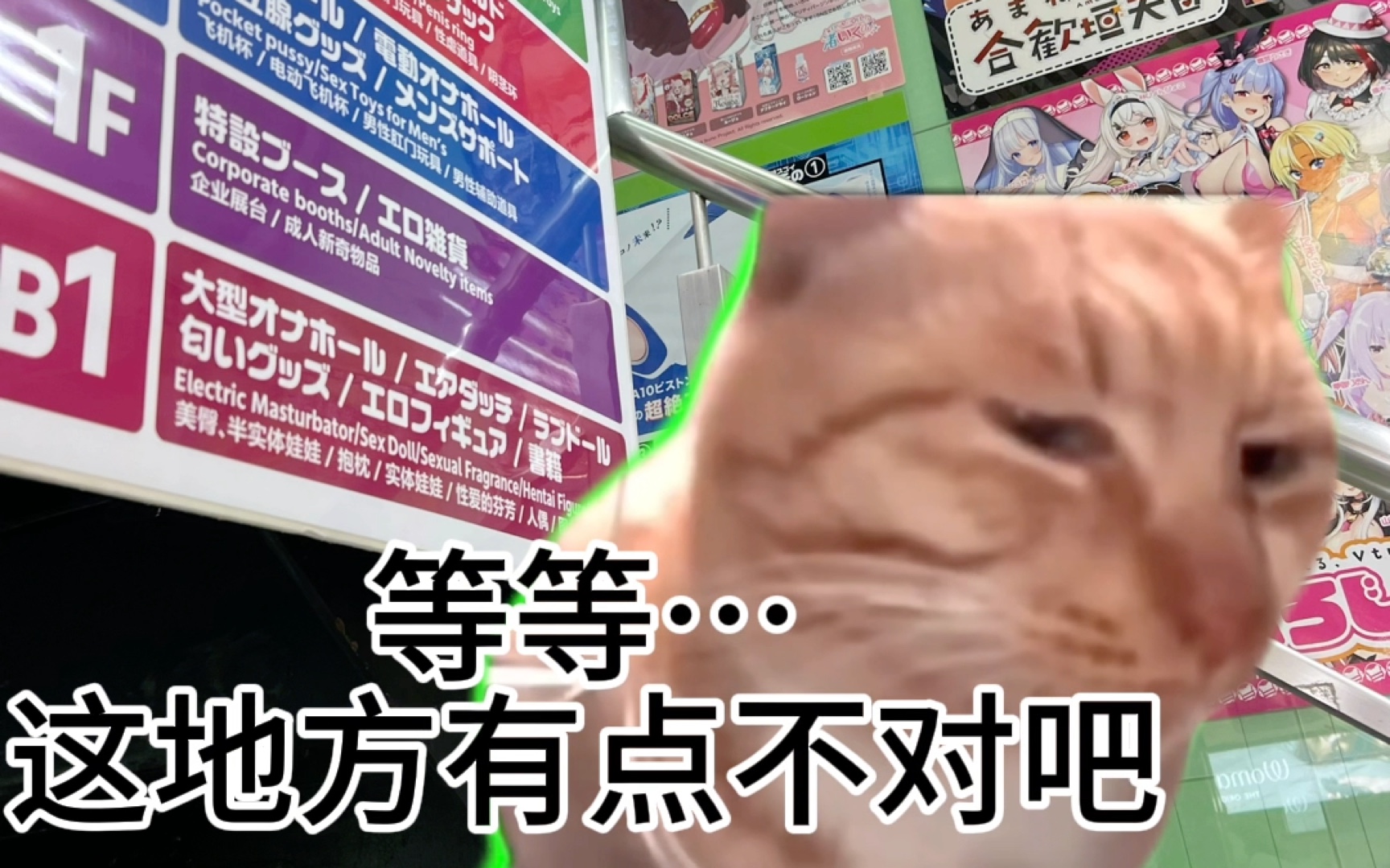 【猫meme】真实存在的日本撞人族…?买谷误入巨大的R18店…以及日本最乱的地方:歌舞伎町【19岁女大自由行真实体验】哔哩哔哩bilibili