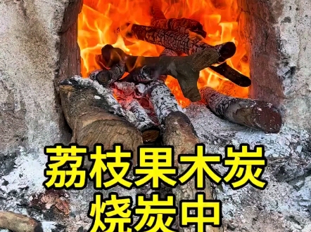 荔枝木炭,#木炭#烧烤炭#取暖炭哔哩哔哩bilibili