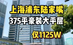 Video herunterladen: 上海浦东陆家嘴375平豪装大平层公寓！带有高端会所泳池，整栋纯居住 三面采光带有阳台！得房率超高！通燃气 不限购