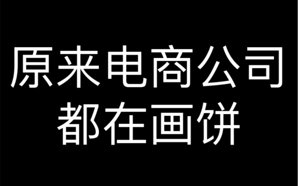 原来电商公司都在画饼哔哩哔哩bilibili