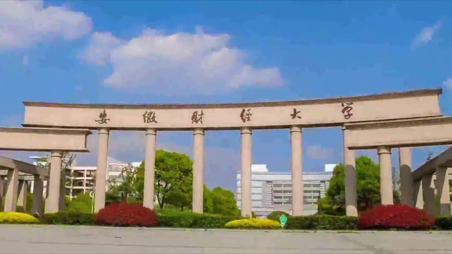 呼叫总部,这里是安徽财经大学!哔哩哔哩bilibili