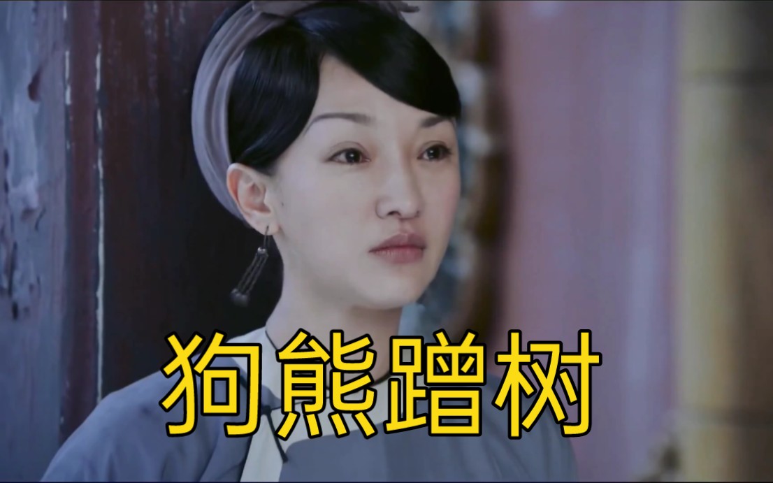 如懿传名场面之狗熊蹭树