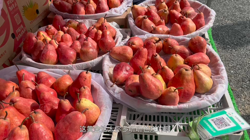兰州特产红色巴梨,软软糯糯酸酸甜甜真好吃,你们吃过吗,一斤5块钱