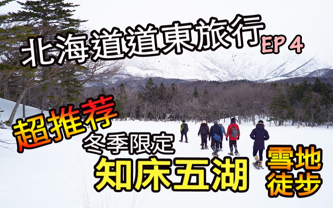 【北海道道东旅行Vlog】EP4 知床五湖雪地徒步有什么玩?超推荐的冬季限定就是了哔哩哔哩bilibili