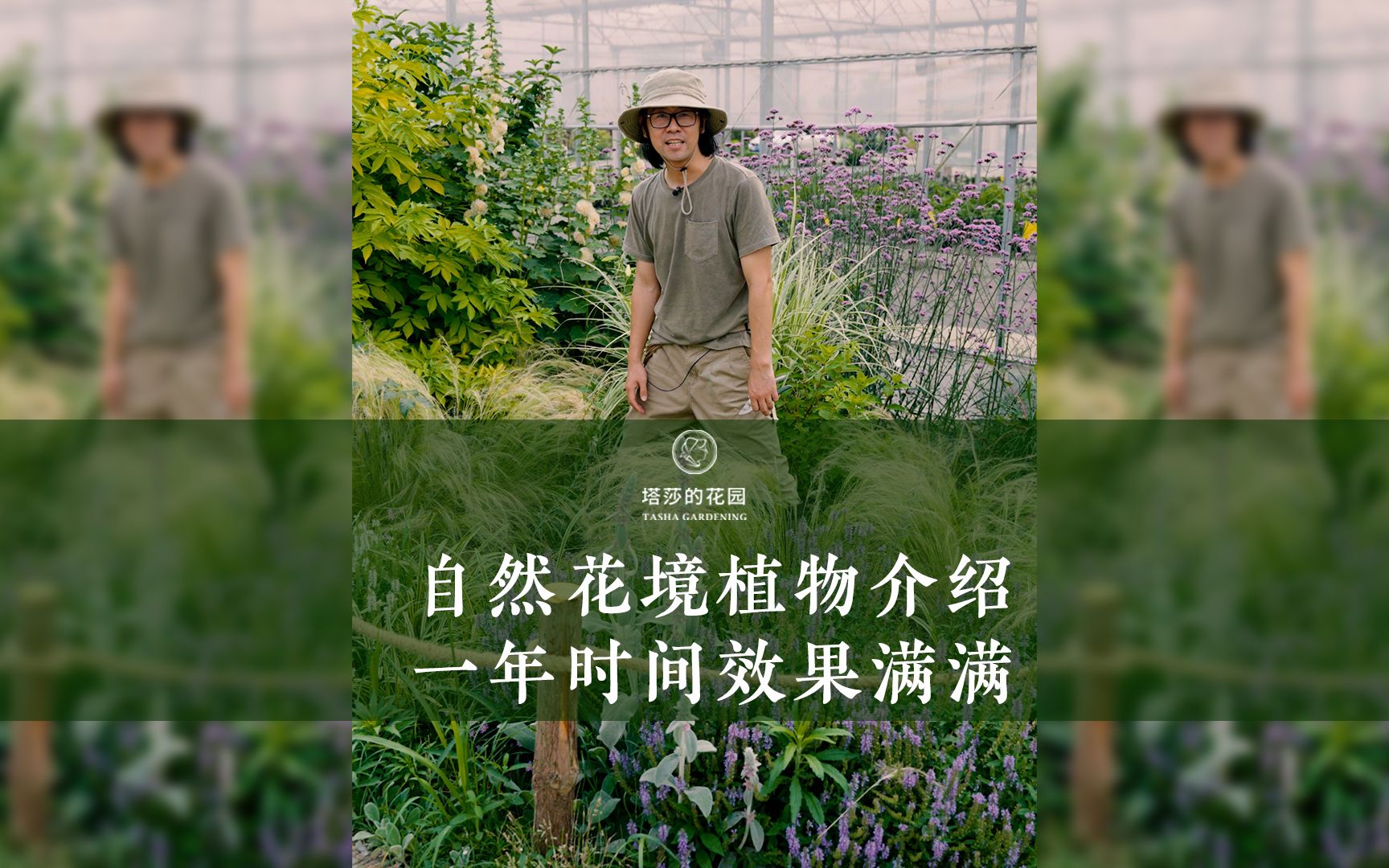 自然花境植物介绍,一年时间效果满满哔哩哔哩bilibili