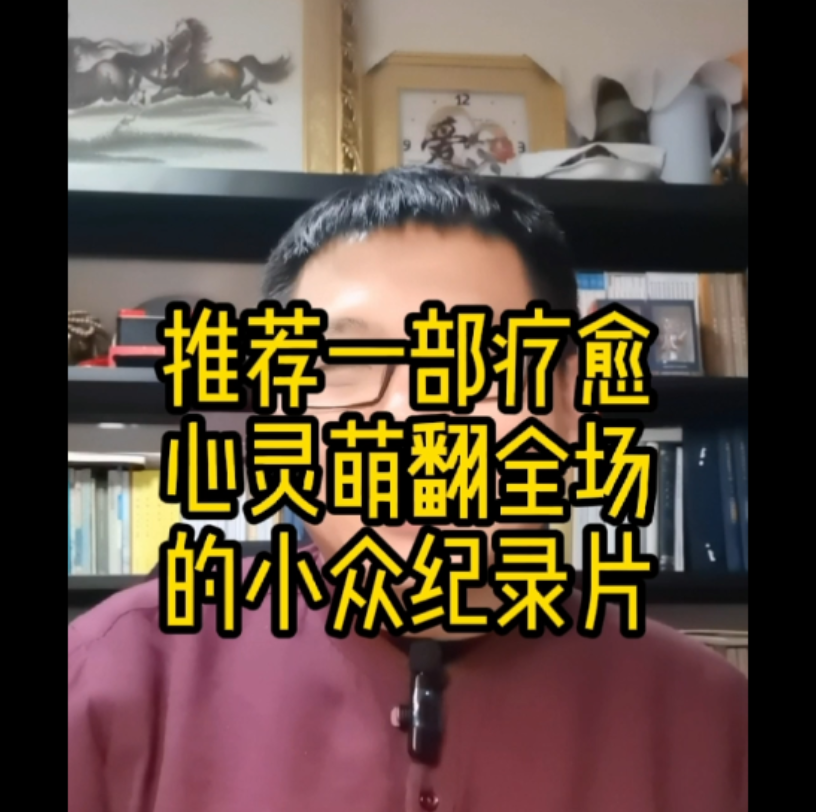 推荐一部疗愈心灵的小众纪录片哔哩哔哩bilibili