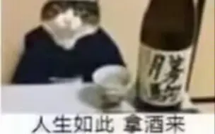 我桑吉尔夫也未尝不懂酒桌礼仪5.0