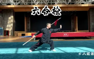 下载视频: 孟村八极拳六合枪演练