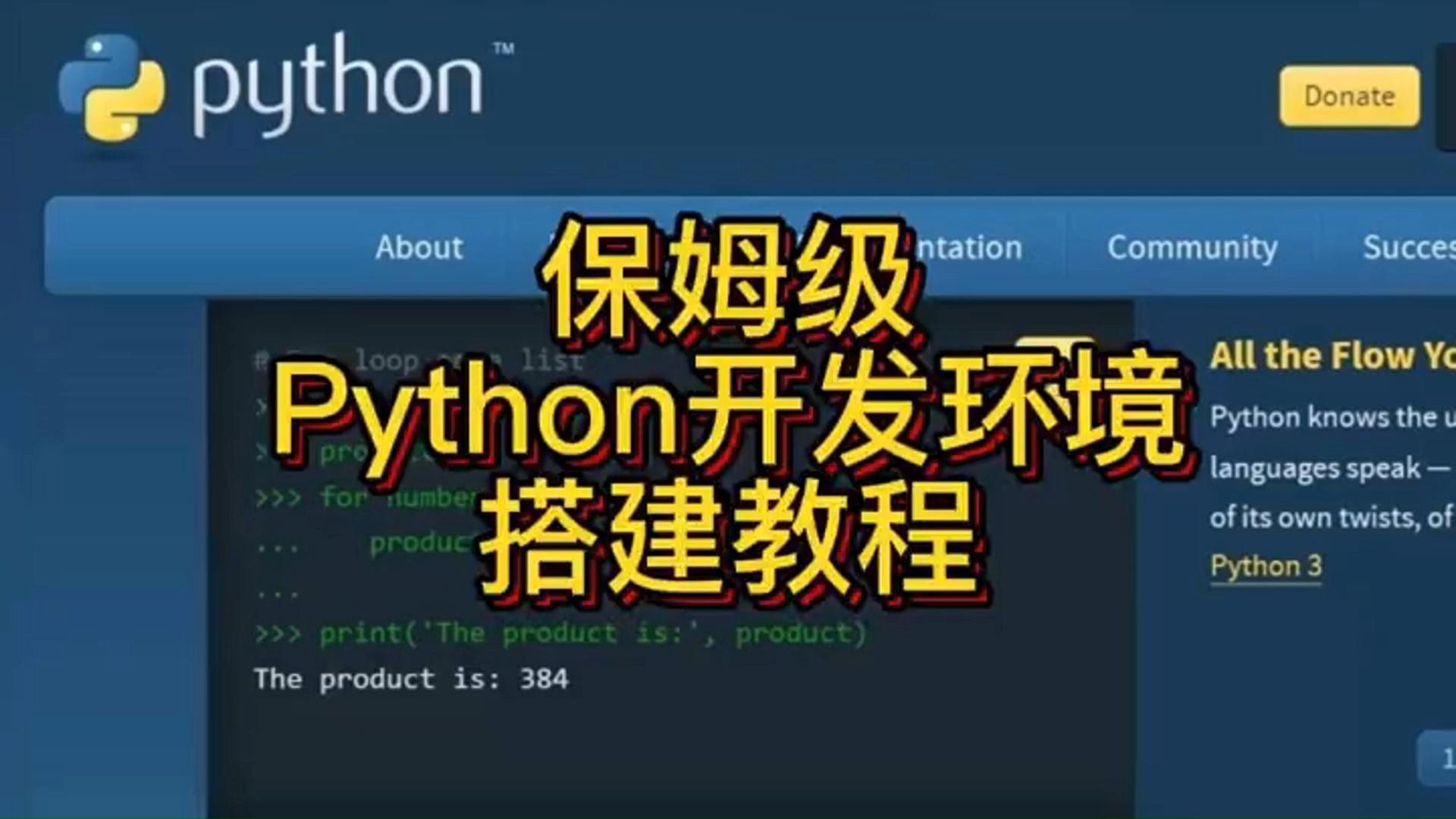 2024 最新保姆级Python开发环境搭建教程哔哩哔哩bilibili