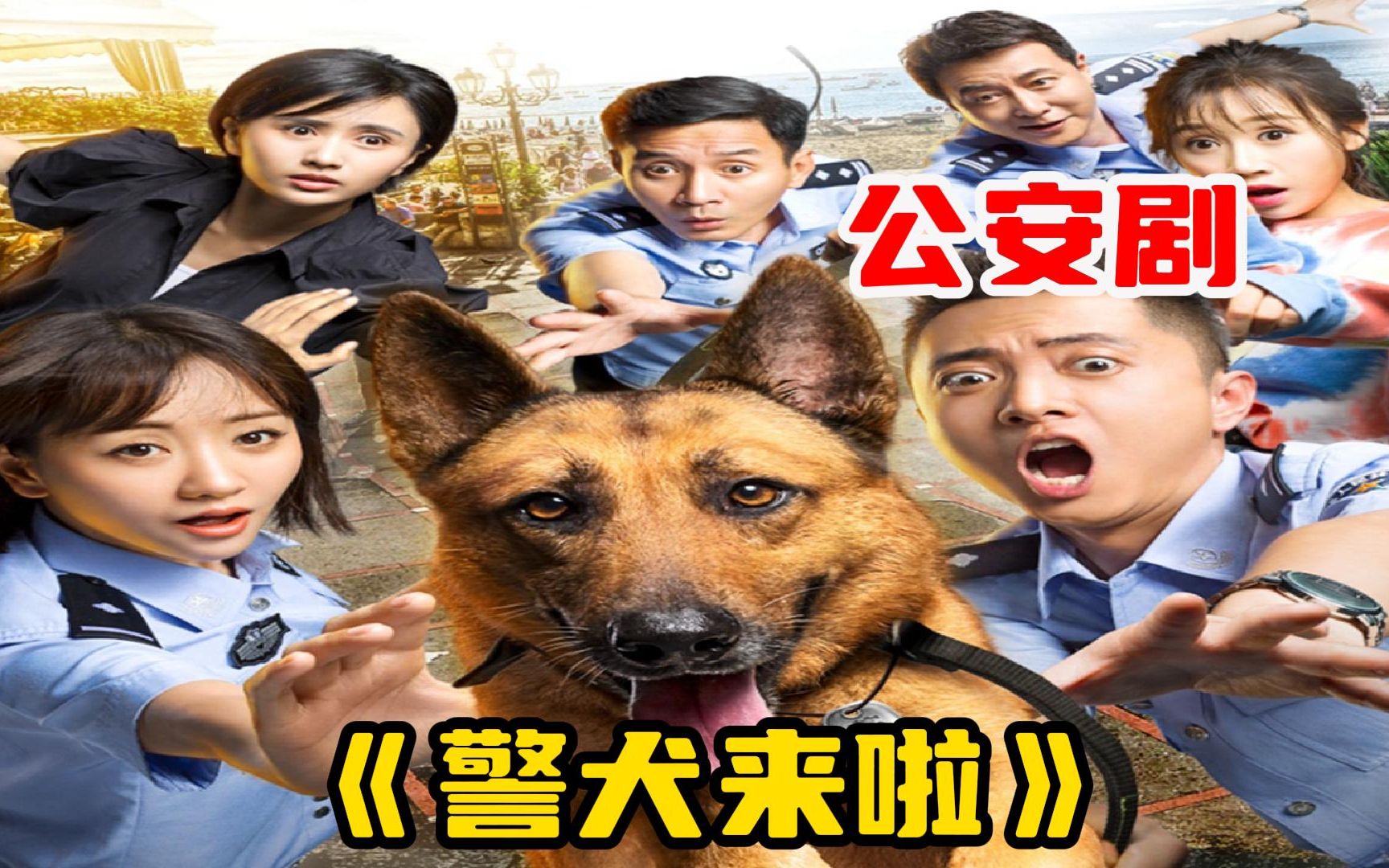 一口气看完现代公安剧【警犬来啦】警犬第一天来报道就闹出个笑话!哔哩哔哩bilibili