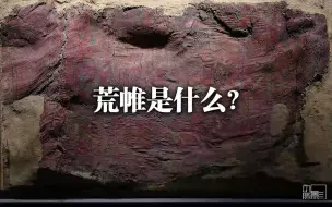 Tải video: 荒帷是什么？