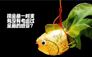 金魚すくい 搜索结果 哔哩哔哩 Bilibili