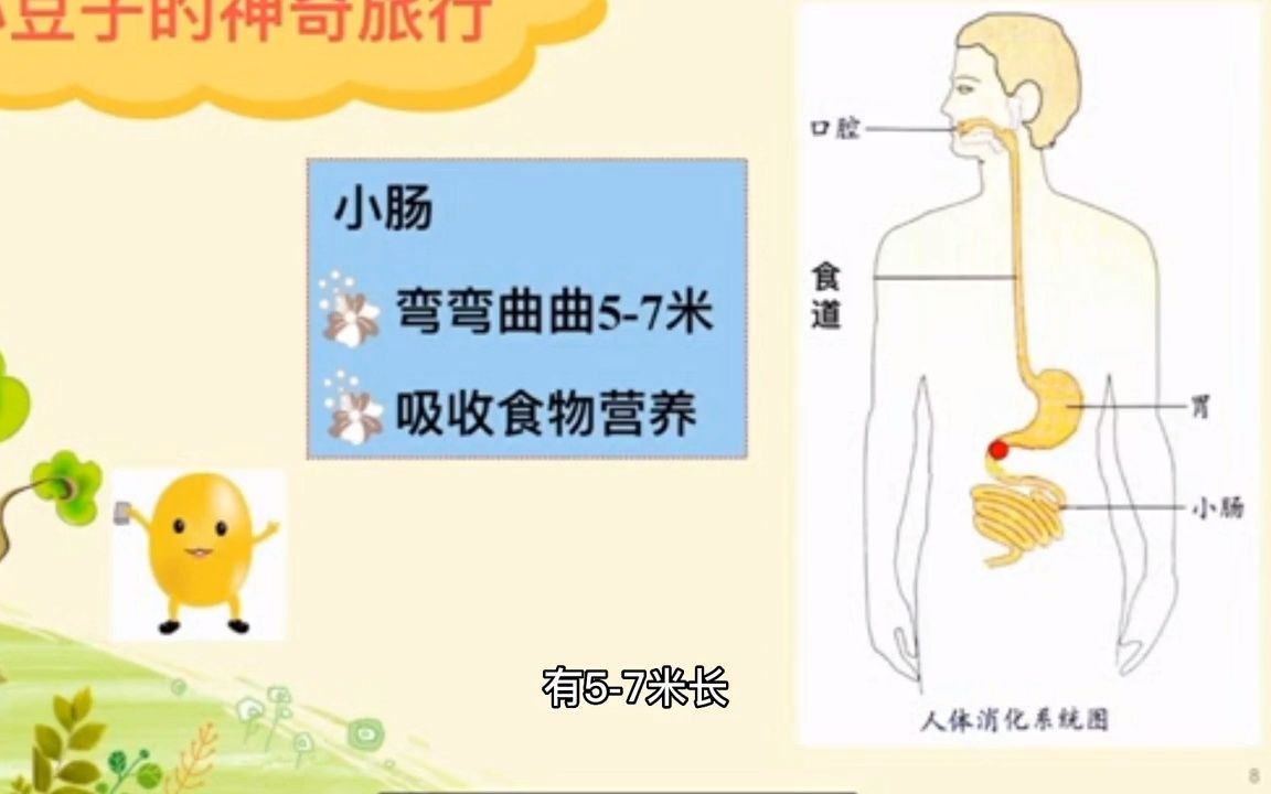 [图]幼儿园大班健康活动《食物旅行记》视频微课～