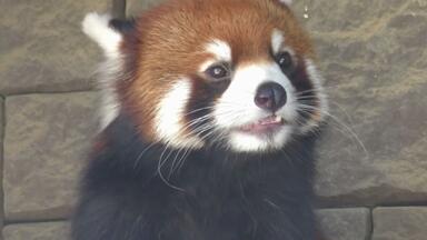 Windows 7 Crazy Error Savana（高画质）_哔哩哔哩_bilibili