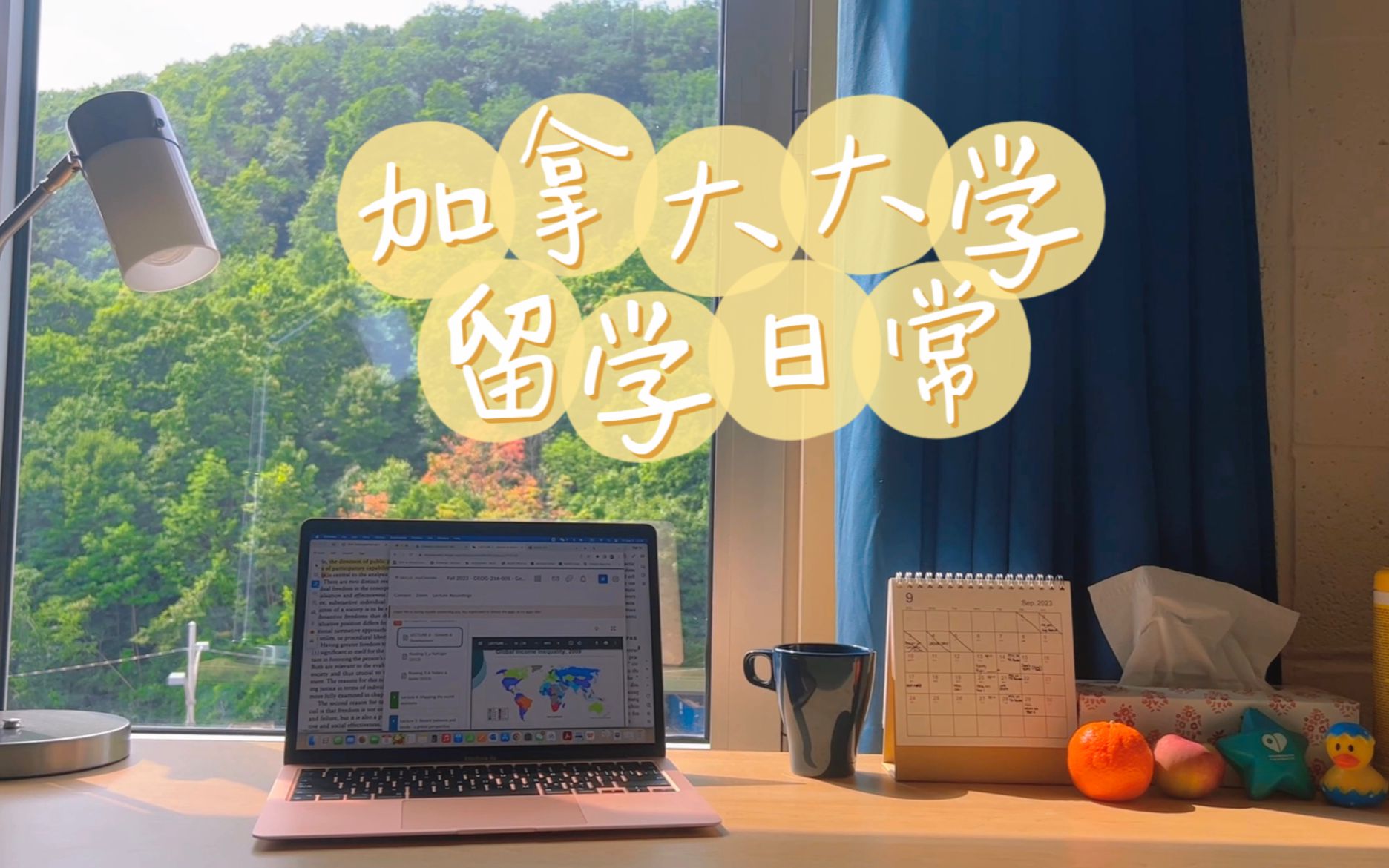 留学生全英VLOG: 麦吉尔大学McGill周五日常哔哩哔哩bilibili