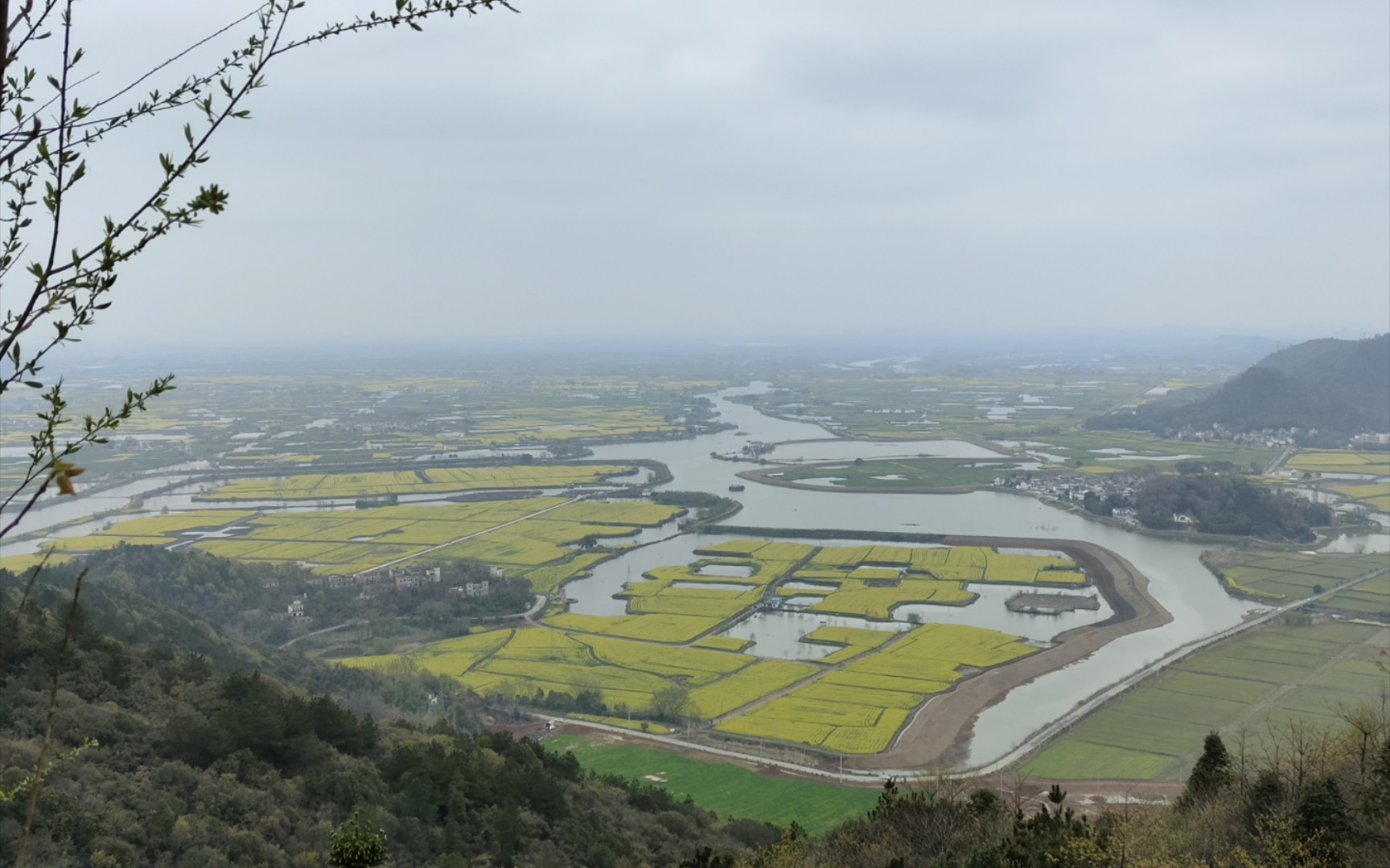 【芜湖市】峨桥镇万亩油菜花田“响水涧”,上山建议坐车,下山可以步行看沿途的风景~哔哩哔哩bilibili