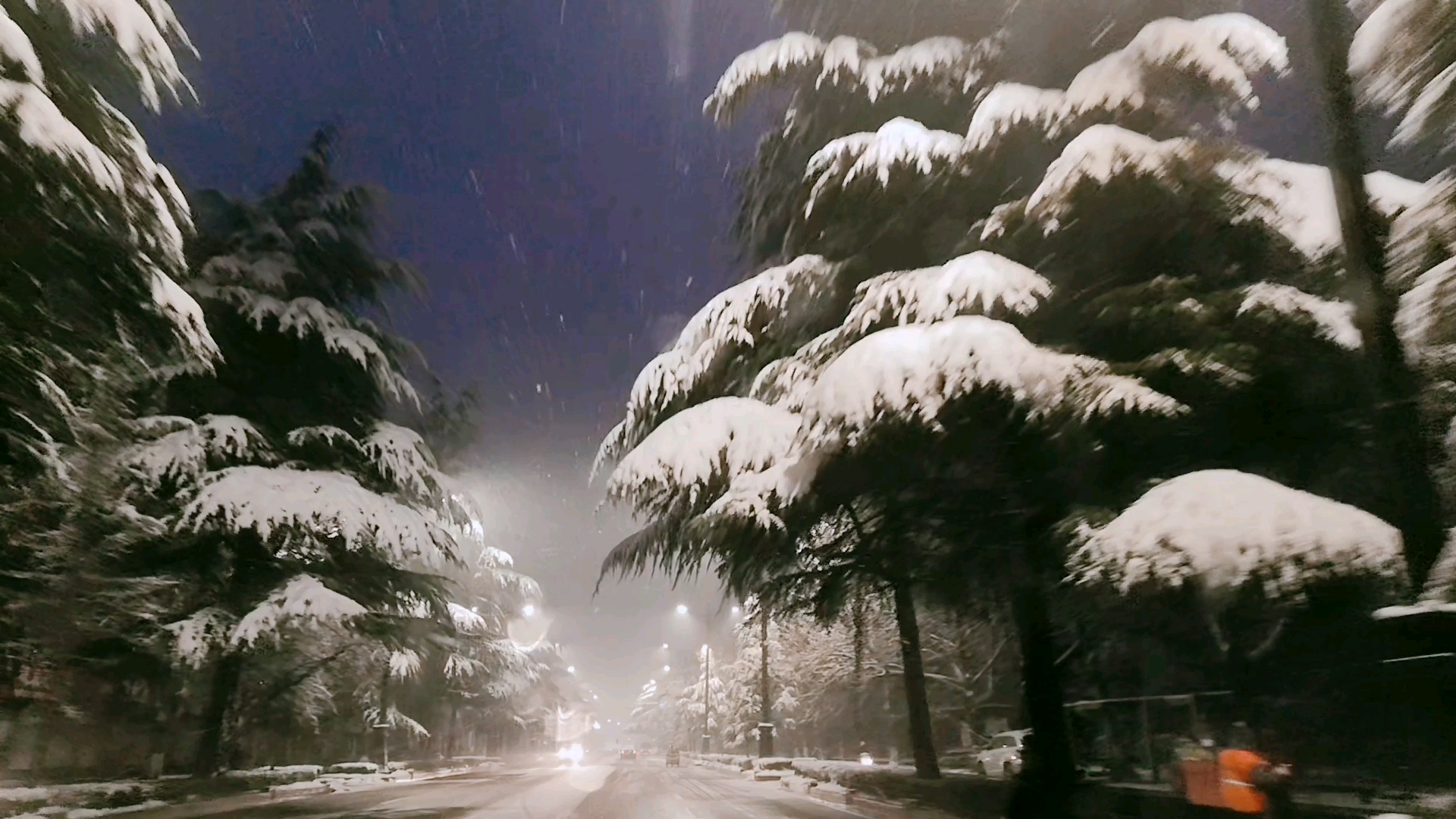 实拍雪后的洛阳定鼎大道,带你看不一样的雪景,银装素裹的北城区哔哩哔哩bilibili