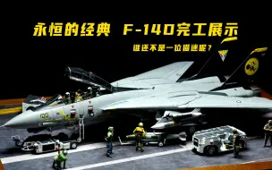 Download Video: 【肘子】田宫1/48 F-14D VF-31模型完工展示