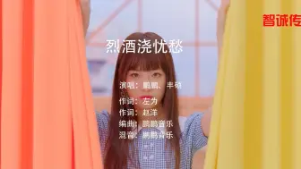 Download Video: 烈酒浇忧愁 - 鹏鹏  丰硕