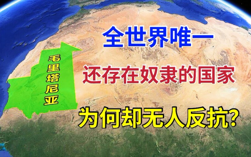 世界上唯一存在奴隶的国家,几十万奴隶,为什么都不反抗?哔哩哔哩bilibili