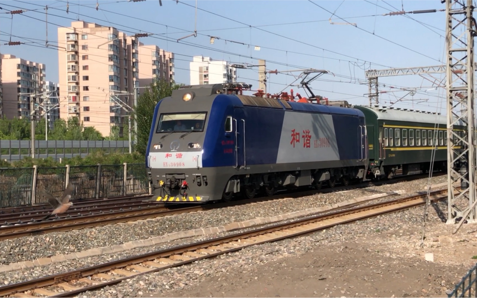 HXD30908,京局唐段,牵引空25B车底回送天津站.本以为京局已经没有电猴子了,没相当唐山机务段居然还有!哔哩哔哩bilibili