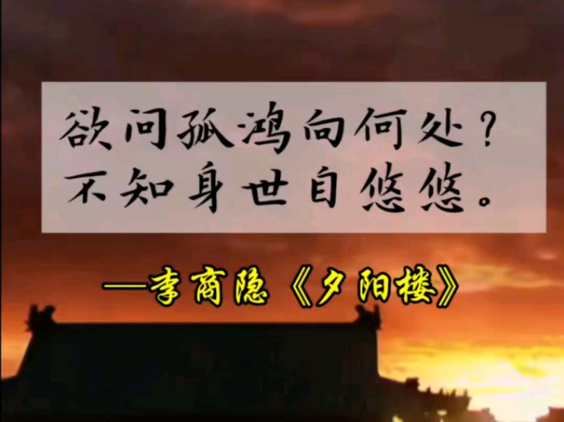 《夕阳楼》所写的生命无力感与人生无常的无奈,或许只是他失望情绪的又一重延伸罢了.哔哩哔哩bilibili